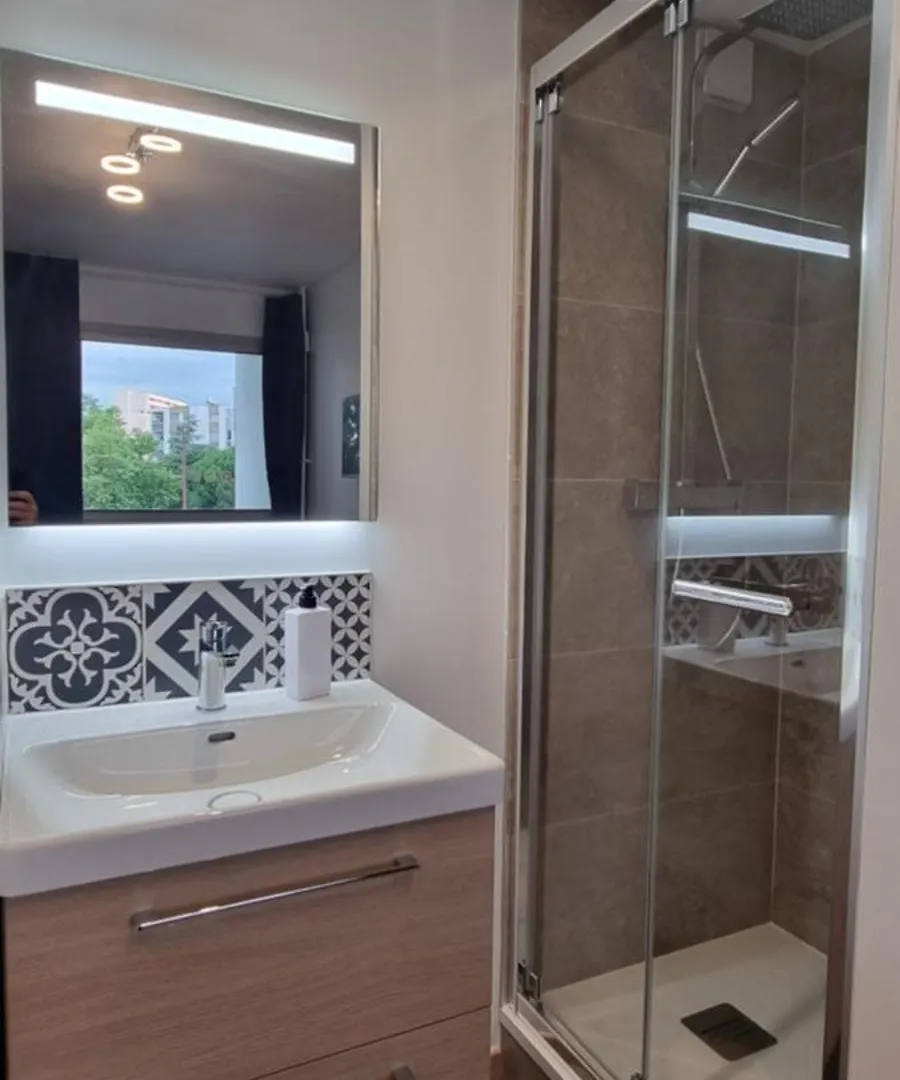 Chambres Avec Sdb Privative Dans Appartement Partage Toulouse